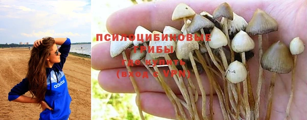 хмурый Навашино