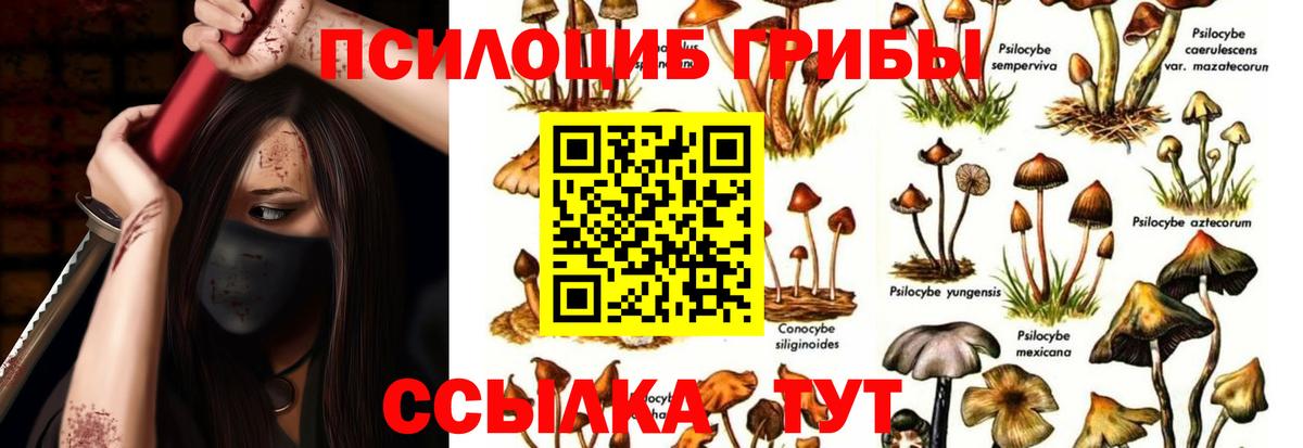 Галлюциногенные грибы MAGIC MUSHROOMS Подольск